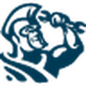 ServiceTitan logo